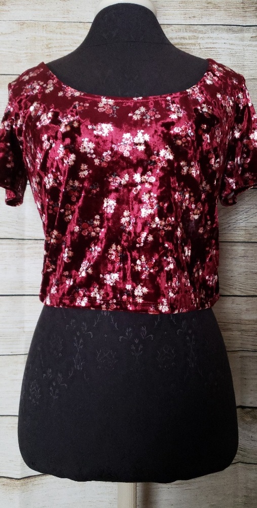 Velvet Crop Top